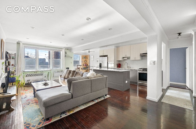 living room featuring crown molding, sink, and dark hardwood / wood-style floors