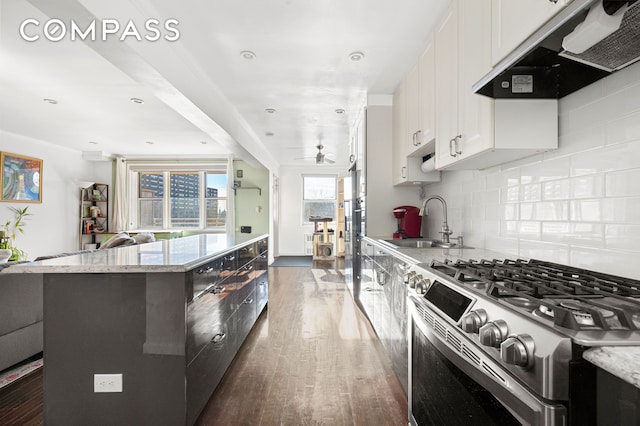 kitchen with stainless steel gas range oven, dark wood-style floors, a center island, under cabinet range hood, and a sink