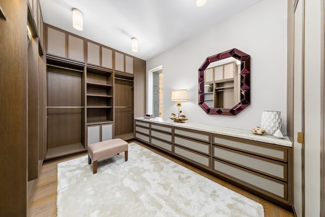 interior space with light hardwood / wood-style floors