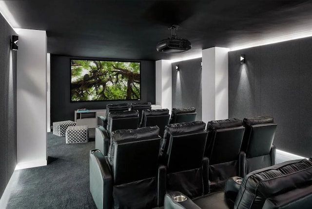 view of carpeted home theater