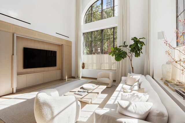 living room with a towering ceiling