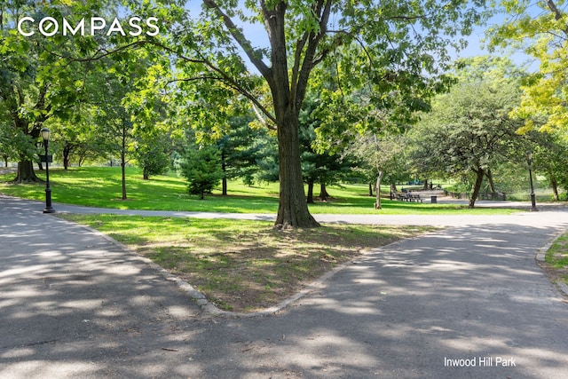 view of property's community featuring a lawn