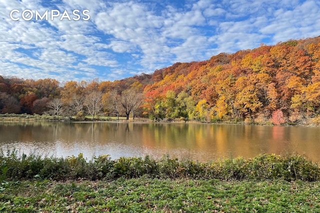 water view featuring a wooded view