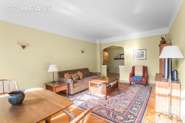 living room with hardwood / wood-style flooring