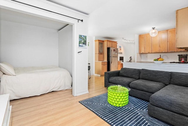 living room with light hardwood / wood-style floors