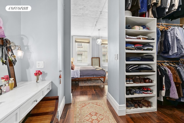 79 Worth St Unit 4R, New York City, NY 10013 - walk in closet featuring dark wood-style floors