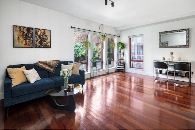 living room with hardwood / wood-style flooring