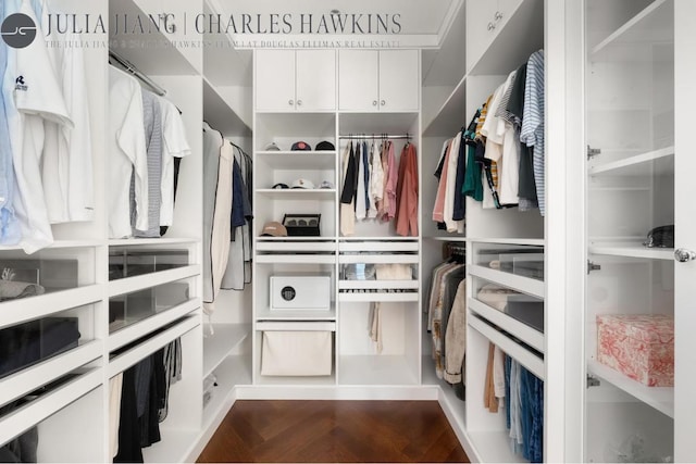 spacious closet with dark wood-type flooring