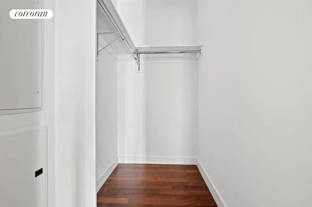 spacious closet with dark wood-type flooring