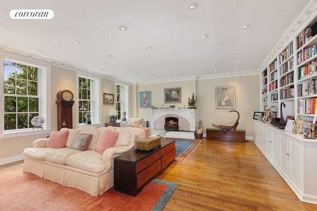 living room with crown molding and light hardwood / wood-style flooring