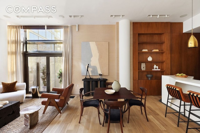 living area featuring rail lighting, a healthy amount of sunlight, and light hardwood / wood-style flooring