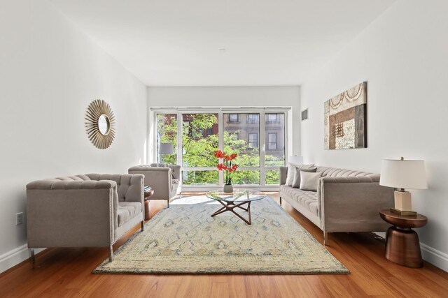 living room with hardwood / wood-style flooring