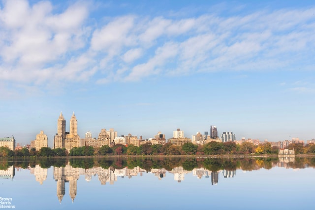 water view featuring a skyline view