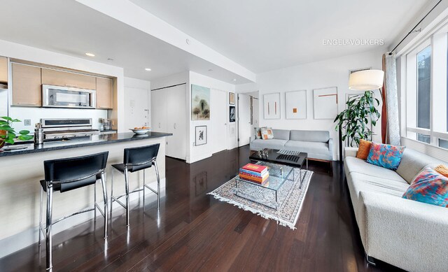 living room with sink and dark hardwood / wood-style floors