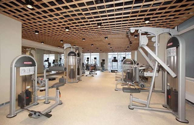 exercise room featuring plenty of natural light