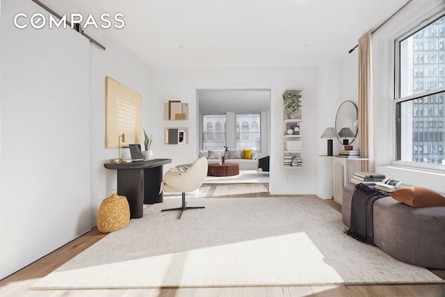 living room with hardwood / wood-style floors