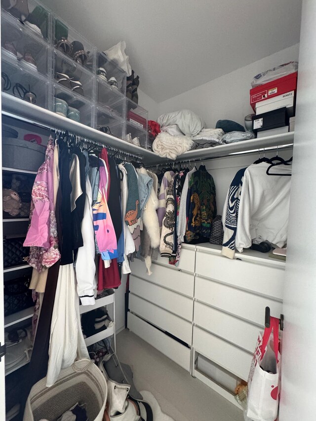 view of spacious closet