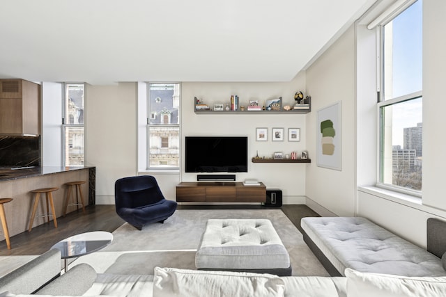 living room featuring a healthy amount of sunlight and dark hardwood / wood-style floors