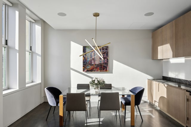 dining space featuring dark hardwood / wood-style floors