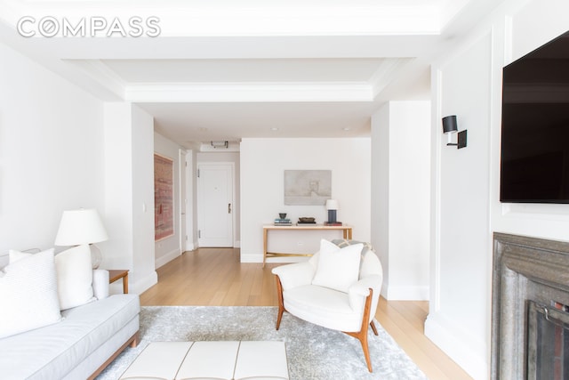 living area featuring light wood-style floors, baseboards, and ornamental molding