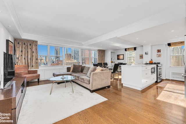 living room featuring ornamental molding and light wood-type flooring