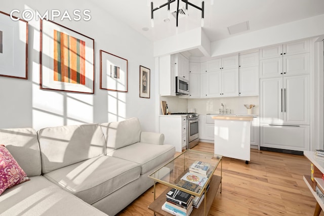 living area featuring light wood finished floors