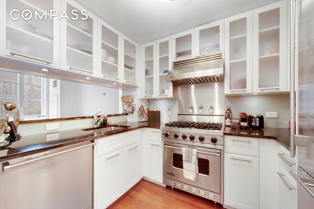 kitchen featuring a sink, dark stone countertops, under cabinet range hood, and stainless steel appliances