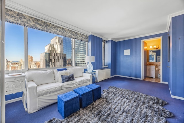 carpeted living area with ornamental molding, a view of city, radiator, and baseboards