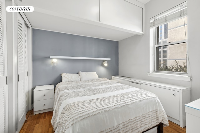 bedroom featuring wood-type flooring and a closet