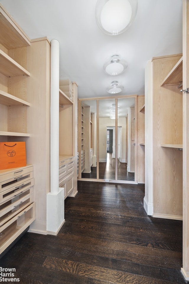 walk in closet featuring wood finished floors