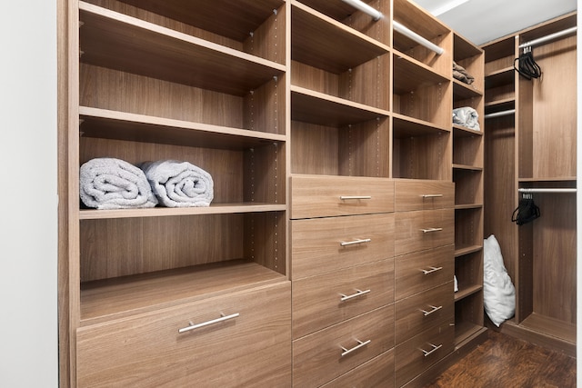 spacious closet with dark wood-type flooring