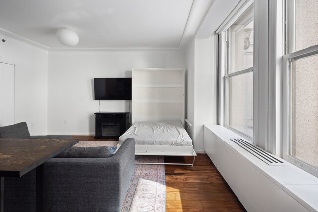 living room with a healthy amount of sunlight and dark hardwood / wood-style floors