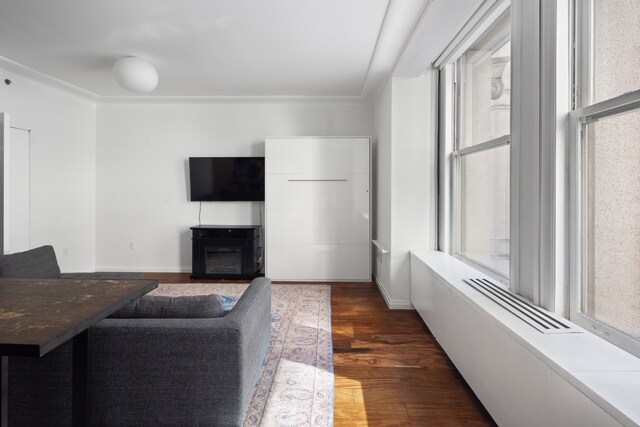 living room featuring plenty of natural light and dark hardwood / wood-style floors