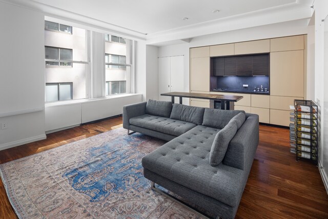 living room featuring dark wood-type flooring