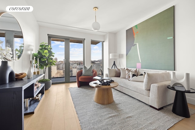 269 4th Ave Unit 803, New York City, NY 11215 - living room with wood finished floors