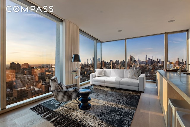 living room with a city view, wood finished floors, and floor to ceiling windows