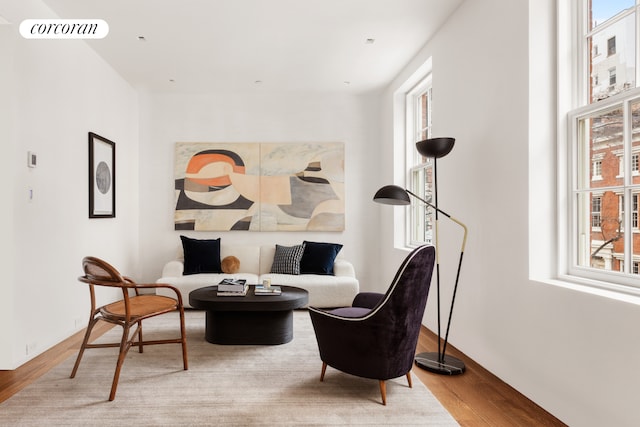 living area featuring a healthy amount of sunlight and wood finished floors