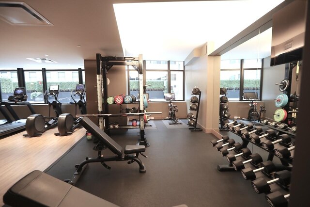 exercise room with plenty of natural light