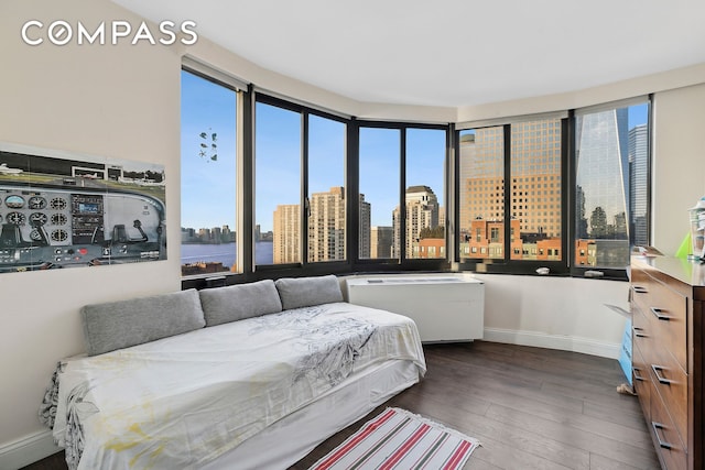 200 Rector Pl Unit 26B, New York City, NY 10280 - bedroom featuring a view of skyline, baseboards, and wood finished floors