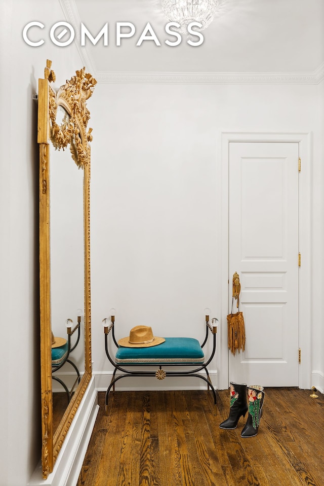 interior space featuring crown molding and wood finished floors