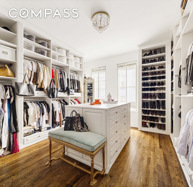 walk in closet with wood finished floors