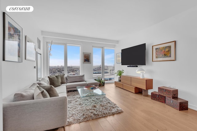 living area featuring wood finished floors