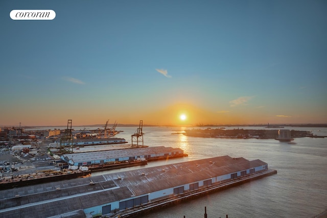 50 Bridge Park Dr Unit 20E, New York City, NY 11201 - dock area featuring a water view