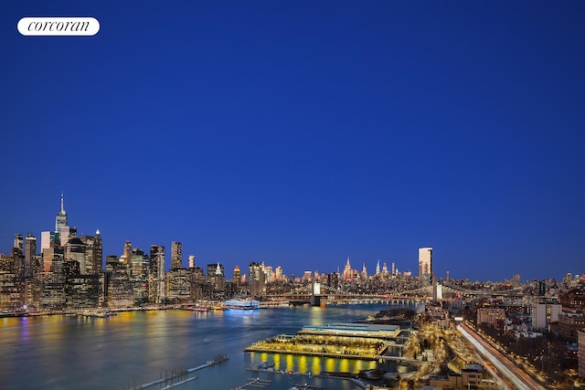 water view featuring a view of city lights and a marina