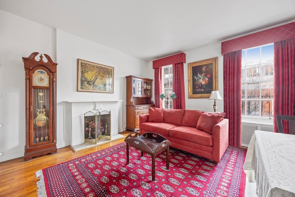 living room featuring a fireplace and wood finished floors