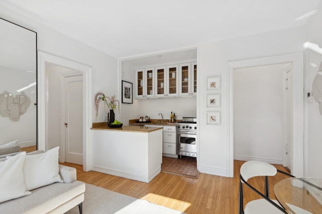 living room featuring light hardwood / wood-style flooring