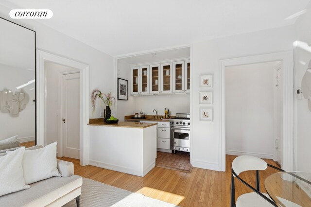 living room with light hardwood / wood-style flooring