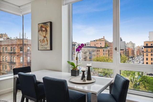 dining space featuring a baseboard radiator, hardwood / wood-style floors, and a wealth of natural light