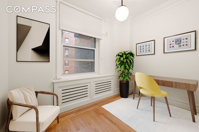 office area with crown molding and wood-type flooring