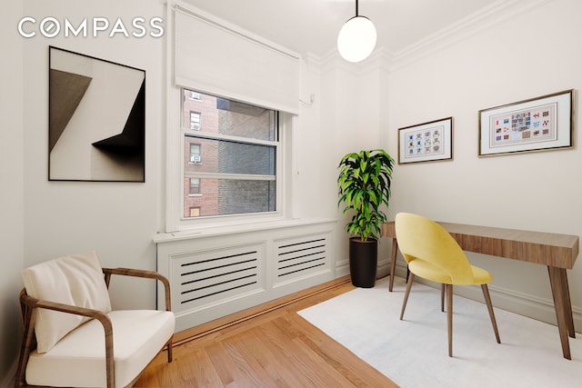 office featuring crown molding and wood finished floors